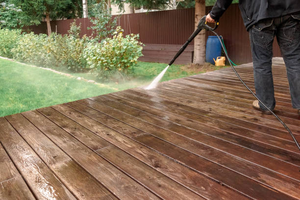 Best Gutter Cleaning  in Dixon, IL