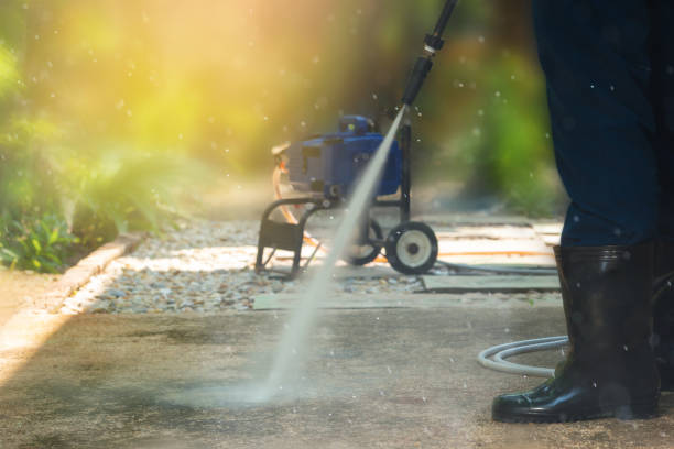 Best Solar Panel Cleaning  in Dixon, IL